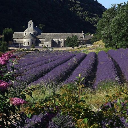 Villa La Calvinette Pernes-les-Fontaines Esterno foto